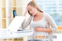 二胎罚款退款最新消息有哪些 ，二胎罚款退款最新消息有哪些政策