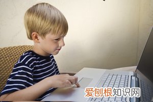 智力正常偏高啥意思 ,什么叫智力正常