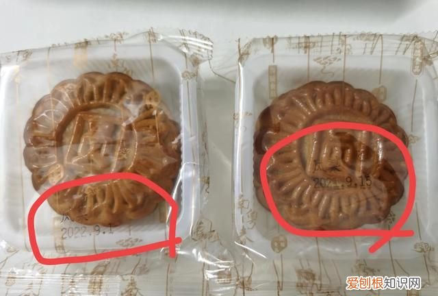 常温月饼放到现在还能吃吗,月饼常温下保质期一般多久