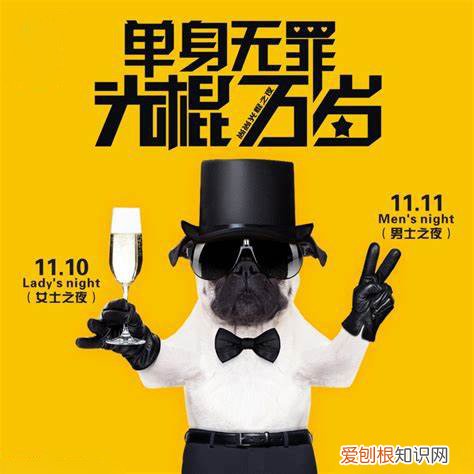 超搞笑的动图世界,值得收藏一下