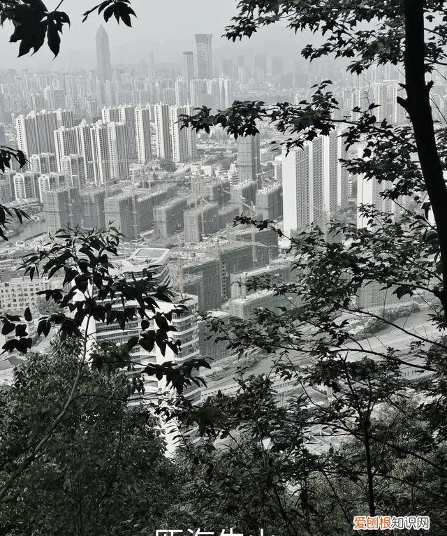 请问浙江温州的风景怎么样啊英语怎么写 ,介绍温州风景英语作文?