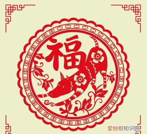 生肖属狗的人适合做什么职业,生肖属狗最适合干什么工作
