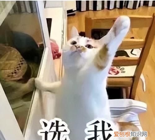 雪糕放常温化了还能吃吗