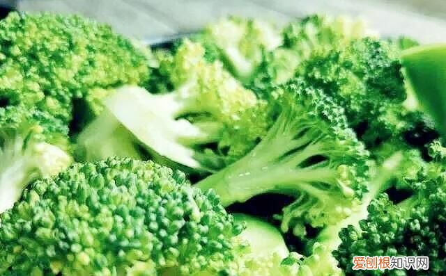 西兰花用盐洗的干净吗 ，西兰花可以用盐水洗吗？