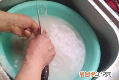 猪肚怎么洗才干净?清洗猪肚三大步 ，怎样清洗猪肚最干净没有异味？