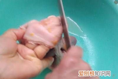 猪肚怎么洗才干净?清洗猪肚三大步 ，怎样清洗猪肚最干净没有异味？