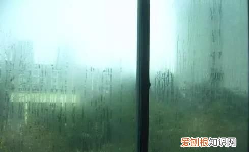 南边阳台北边门好不好 ,北面阳台和南面阳台差别?