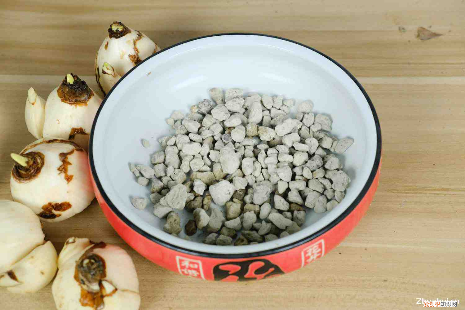 水仙花的繁植方法视频，水仙花的繁殖方式有哪几种，哪个繁殖方法比较常用？