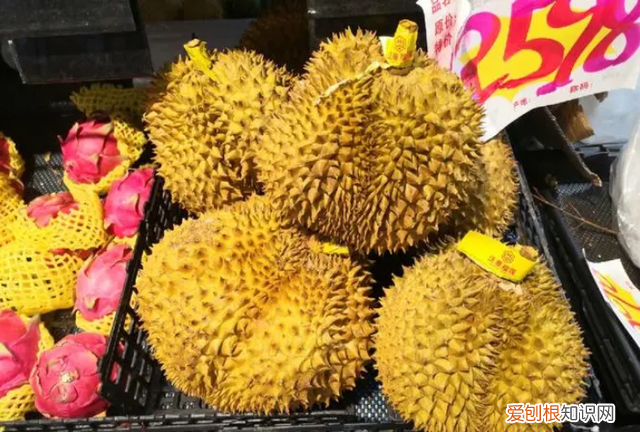 辨别榴莲的新鲜程度怎样挑选榴莲