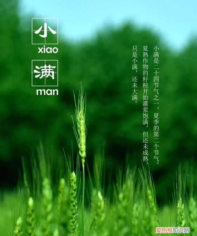小满节气知多少 ,小满节气含义?