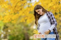红参孕晚期能不能吃 ，红参孕晚期可以吃吗