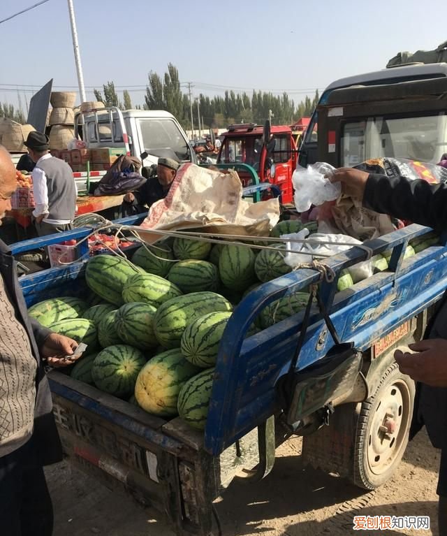 新疆库车哪里好玩 ,库车市有什么好吃的东西?
