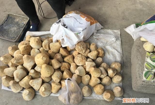 新疆库车哪里好玩 ,库车市有什么好吃的东西?