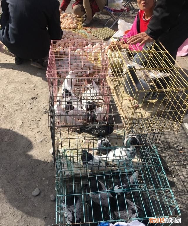 新疆库车哪里好玩 ,库车市有什么好吃的东西?