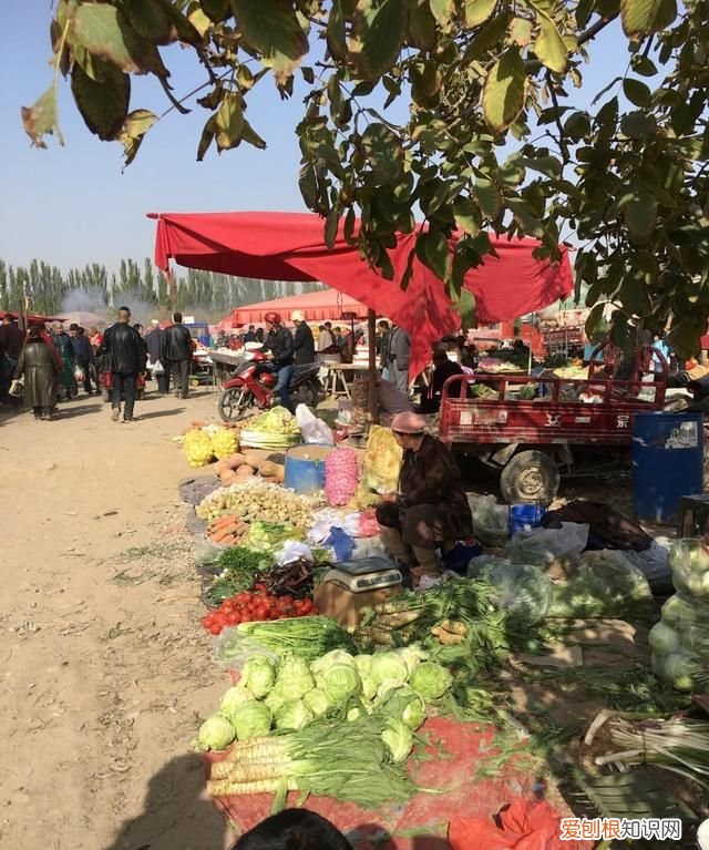 新疆库车哪里好玩 ,库车市有什么好吃的东西?