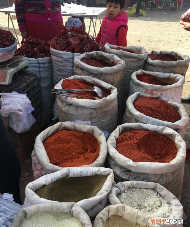 新疆库车哪里好玩 ,库车市有什么好吃的东西?