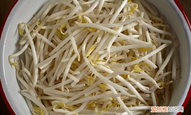 黄豆芽跟绿豆芽的区别 黄豆芽和绿豆芽什么区别