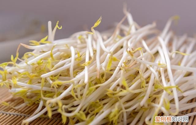 黄豆芽跟绿豆芽的区别 黄豆芽和绿豆芽什么区别