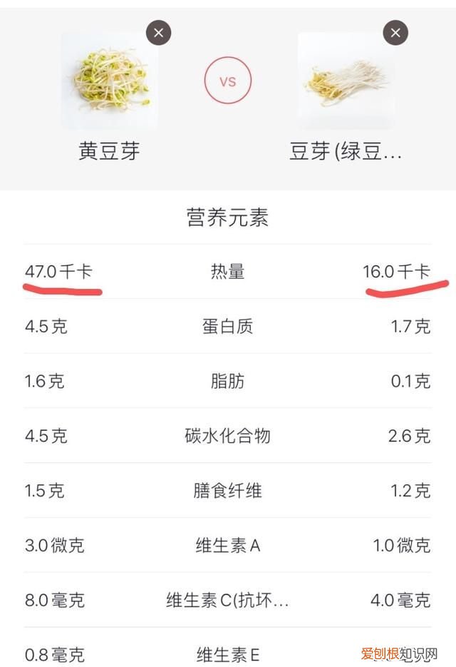 黄豆芽跟绿豆芽的区别 黄豆芽和绿豆芽什么区别