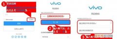 vivo账户密码忘记了怎么办