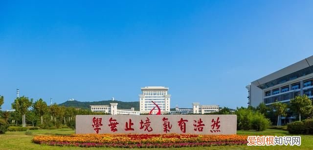 考入山东大学怎么样 ，考上山东大学可以干什么工作？