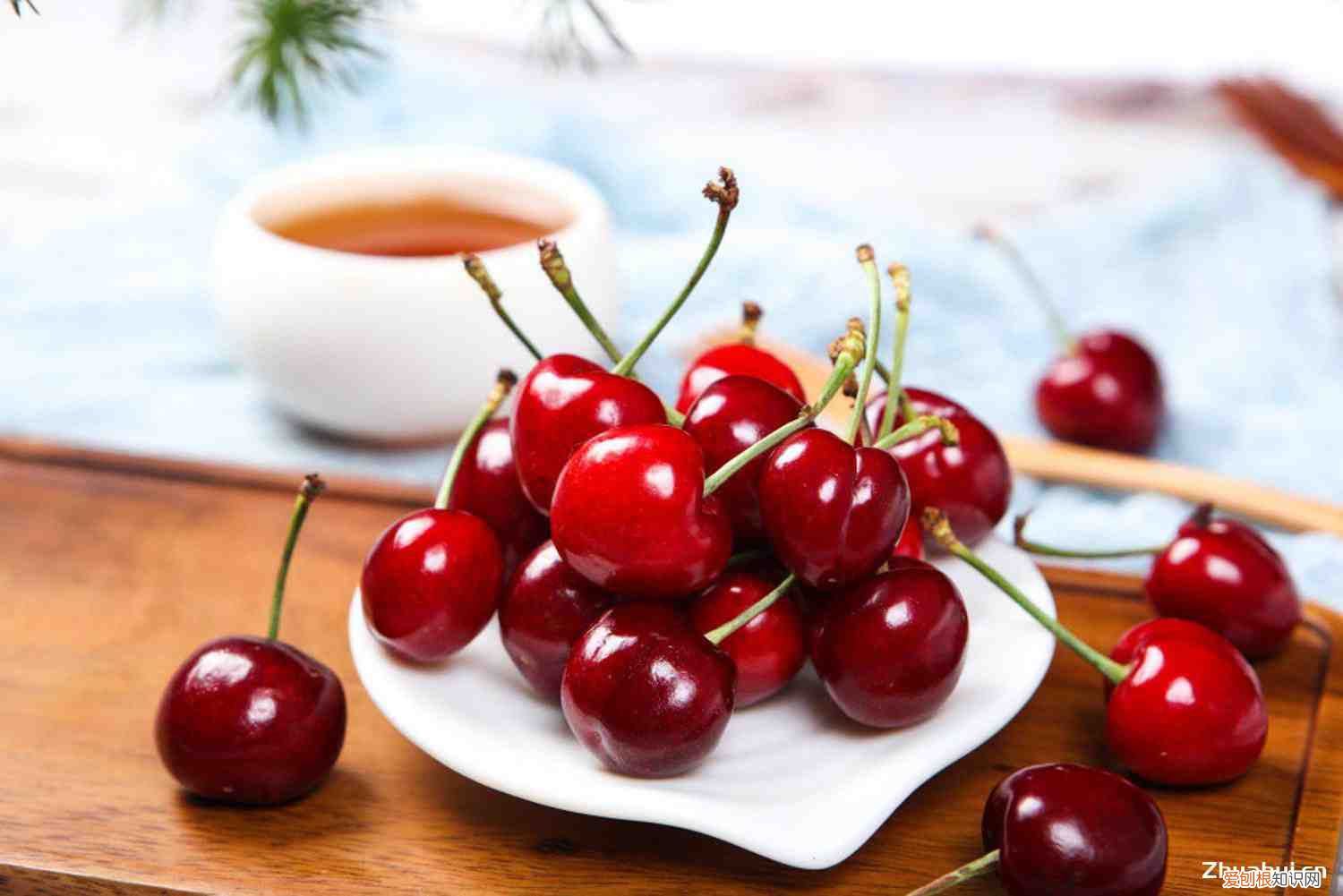 樱桃所有品种介绍，樱桃的品种介绍，樱桃的图片？
