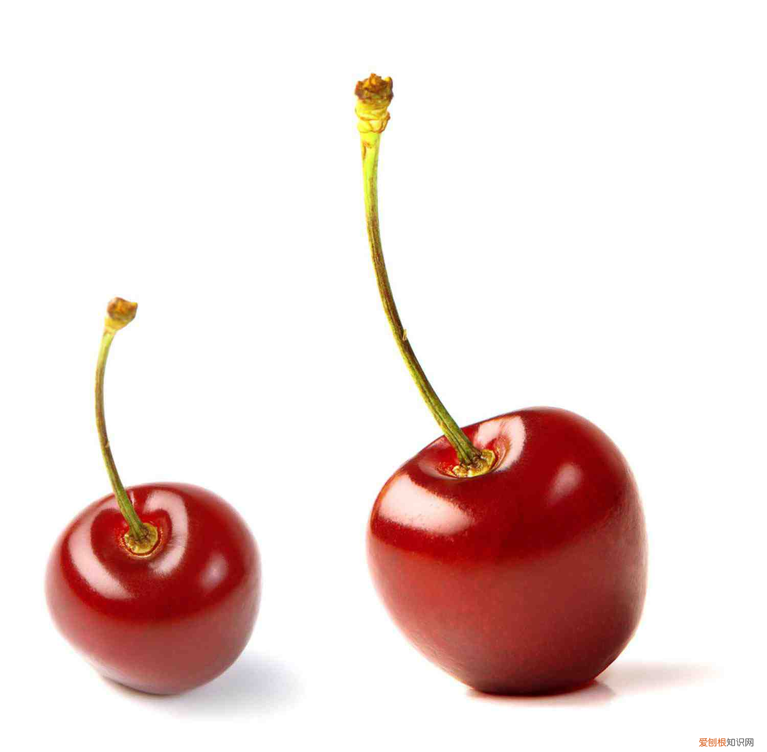 樱桃什么时候季节成熟,樱桃什么季节成熟,樱桃图片?
