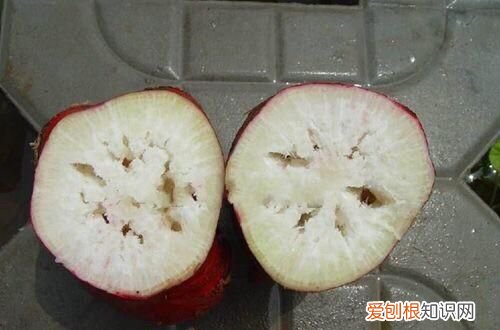 萝卜放久了空心是什么原因造成的 ,萝卜放久了为什么会空心还能吃吗?