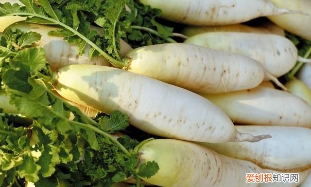 萝卜放久了空心是什么原因造成的 ,萝卜放久了为什么会空心还能吃吗?