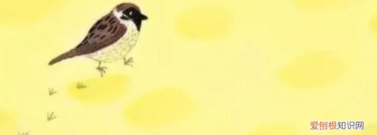 小麻雀的脚印像什么 ,麻雀的脚是什么样子?