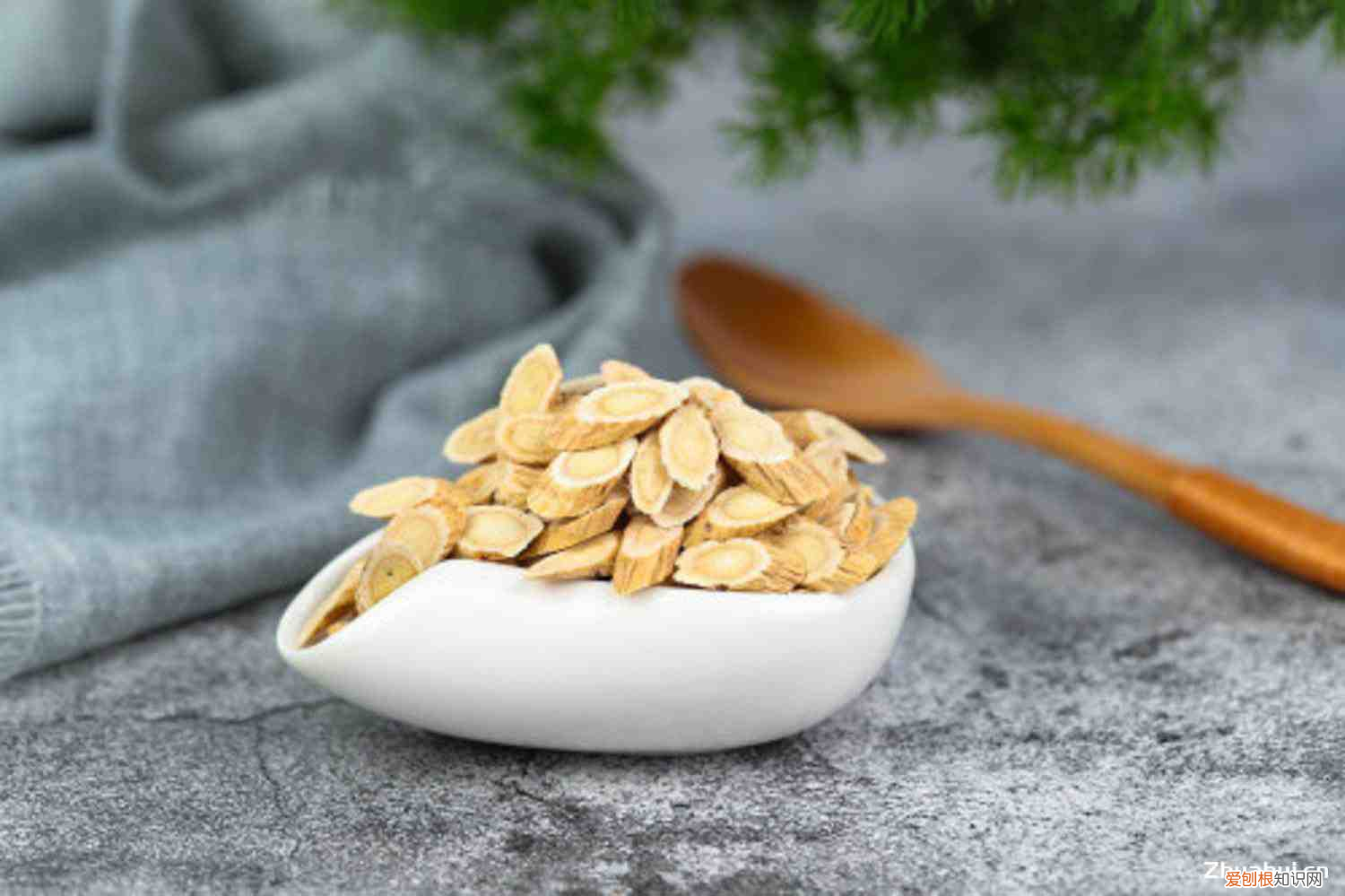 黄芪的功效与作用及禁忌,用法及用量，黄芪的功效和作用，黄芪的图片？