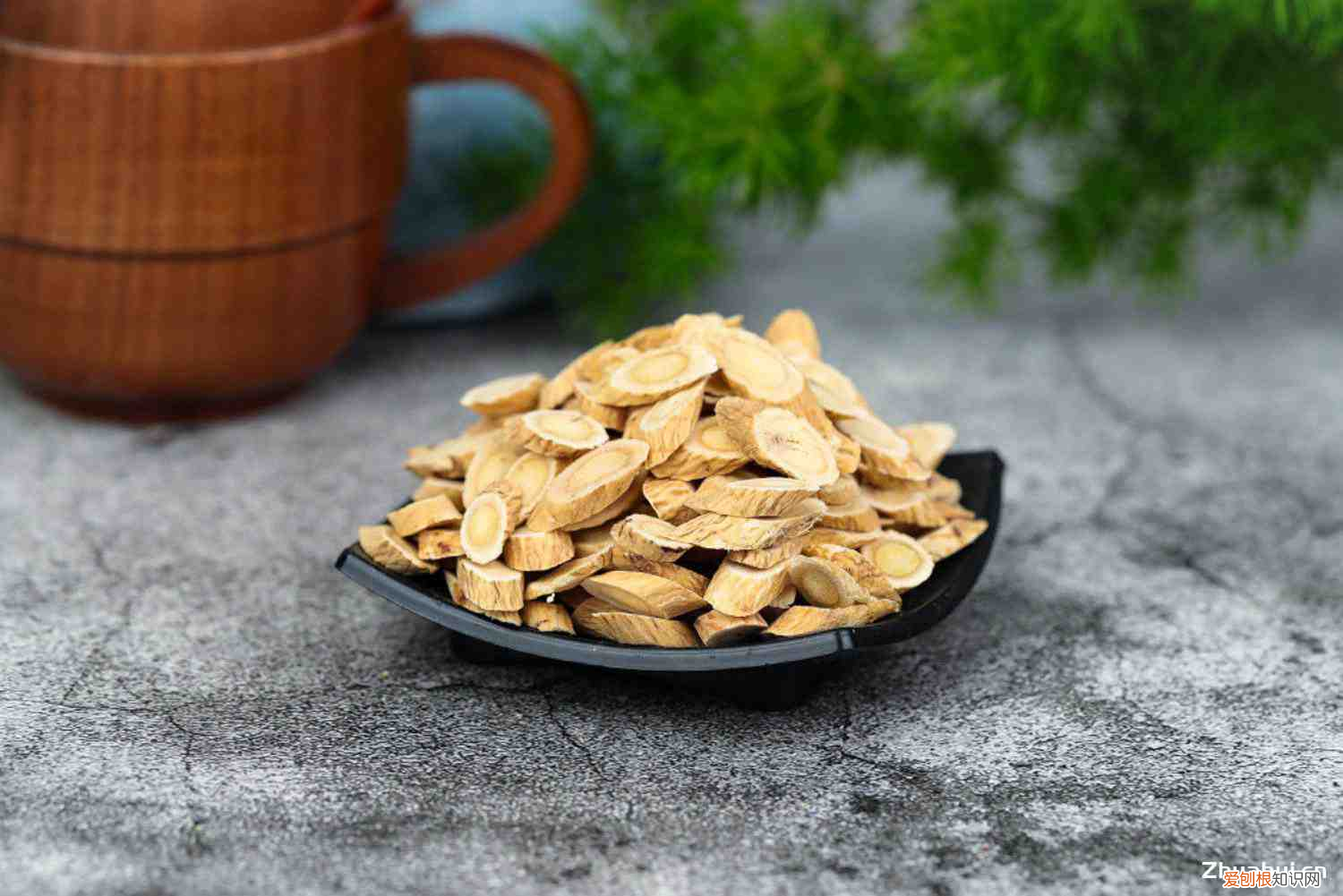 黄芪的功效与作用及禁忌,用法及用量，黄芪的功效和作用，黄芪的图片？