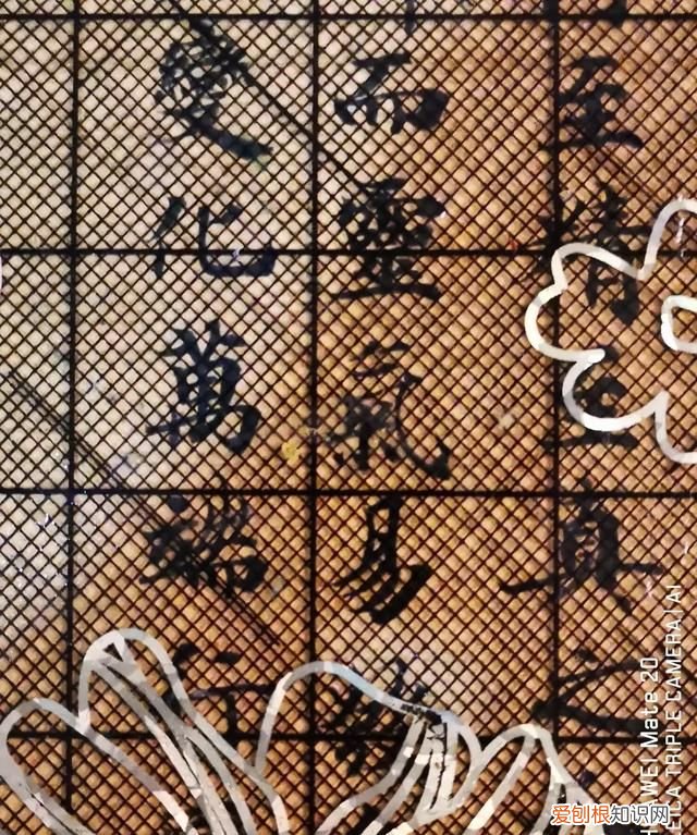 灵飞经原帖作者是谁 ,灵飞经字帖全文译本?