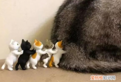 為什么貓咪一直發(fā)出呼嚕呼嚕的聲音還會(huì)叫 ，為什么貓咪一直發(fā)出呼嚕呼嚕的聲音怎么辦？