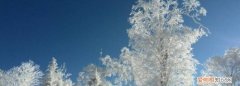《北风和太阳》这个寓言故事告诉我们一个怎样的道理 ，北风和太阳的故事告诉了我们什么道