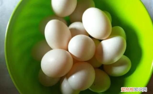 鸽子蛋为什么蒸不起来 ,为什么鸽子蛋蒸不凝固??