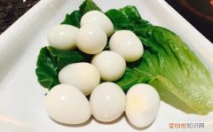 鸽子蛋为什么蒸不起来 ，为什么鸽子蛋蒸不凝固?？