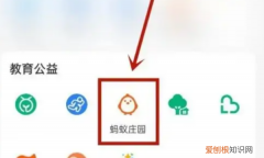 蚂蚁庄园怎么隐藏 手机支付宝 如何隐藏蚂蚁庄园 4月07日最新整理发布