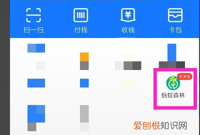 蚂蚁庄园怎么隐藏 手机支付宝 如何隐藏蚂蚁庄园 4月07日最新整理发布
