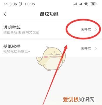 透明壁纸在哪设置，如何把喜欢的照片设为手机桌面壁纸