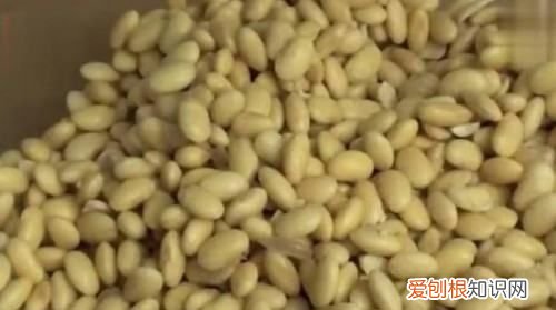 豆皮是什么材料做的，千张豆腐皮的制作技术