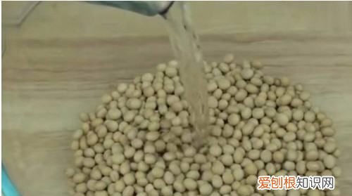 豆皮是什么材料做的，千张豆腐皮的制作技术