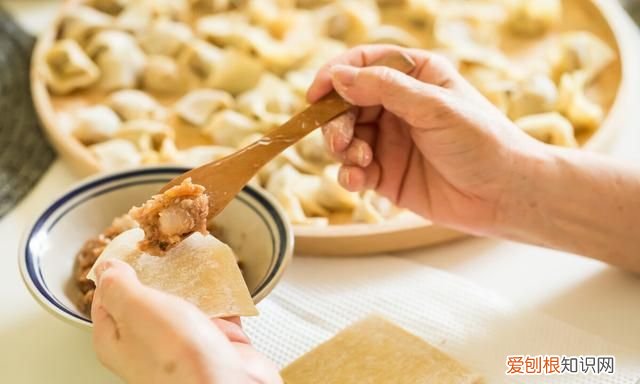 馄饨12种包法馄饨馅怎么调,包馄饨怎么调馅料才好