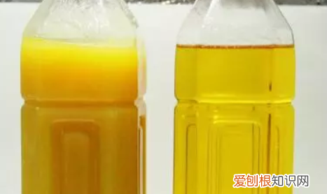 食用油凝固是怎么回事，花生油低温凝固是怎么回事