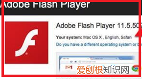 电脑上怎么安装flashplayer