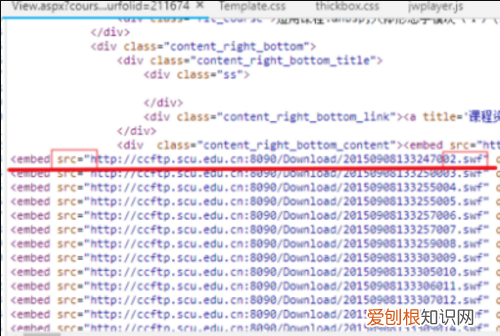 网页怎么
