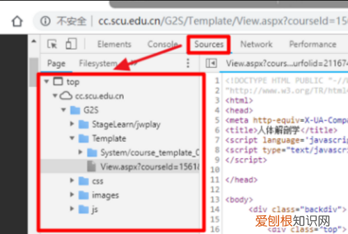 网页怎么