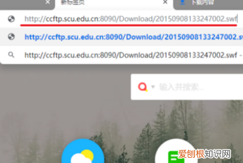 网页怎么