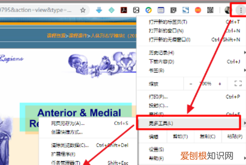 网页怎么