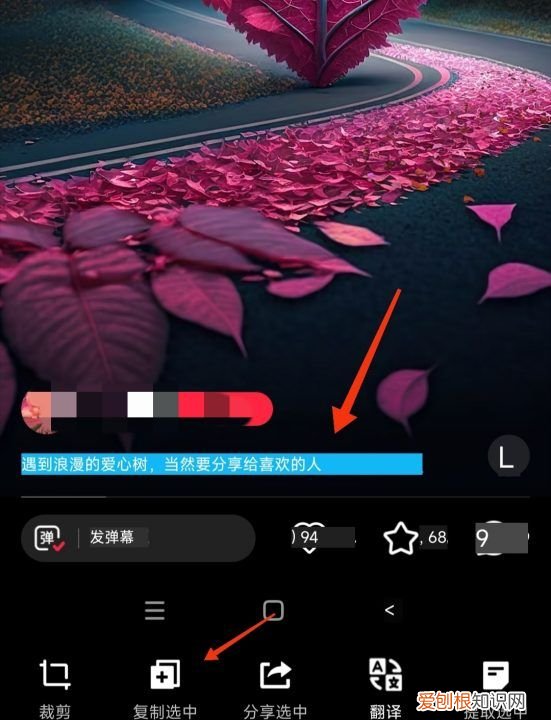 小红书文字怎么复制，小红书的笔记怎么复制